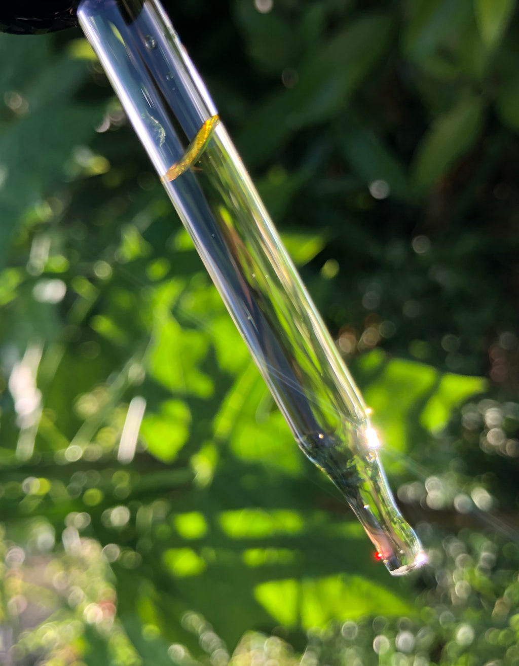 Tea Tree & Oregano Cuticle Oil