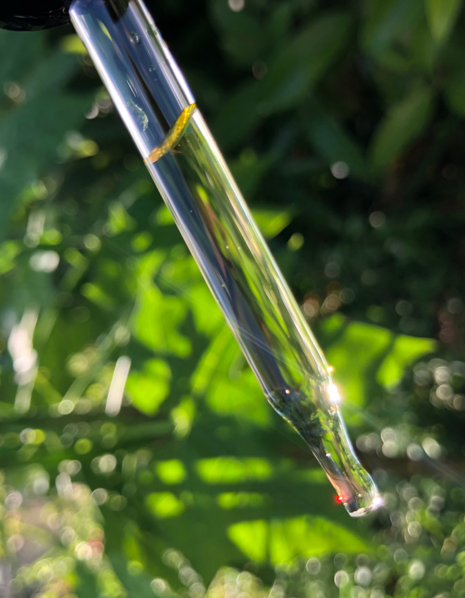 Tea Tree & Oregano Cuticle Oil