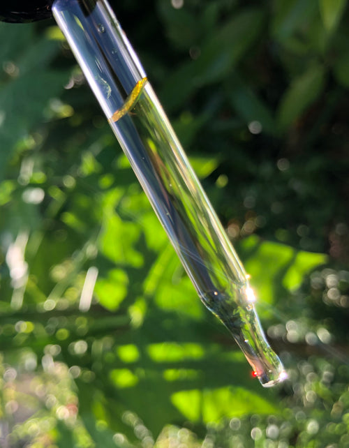 Tea Tree & Oregano Cuticle Oil